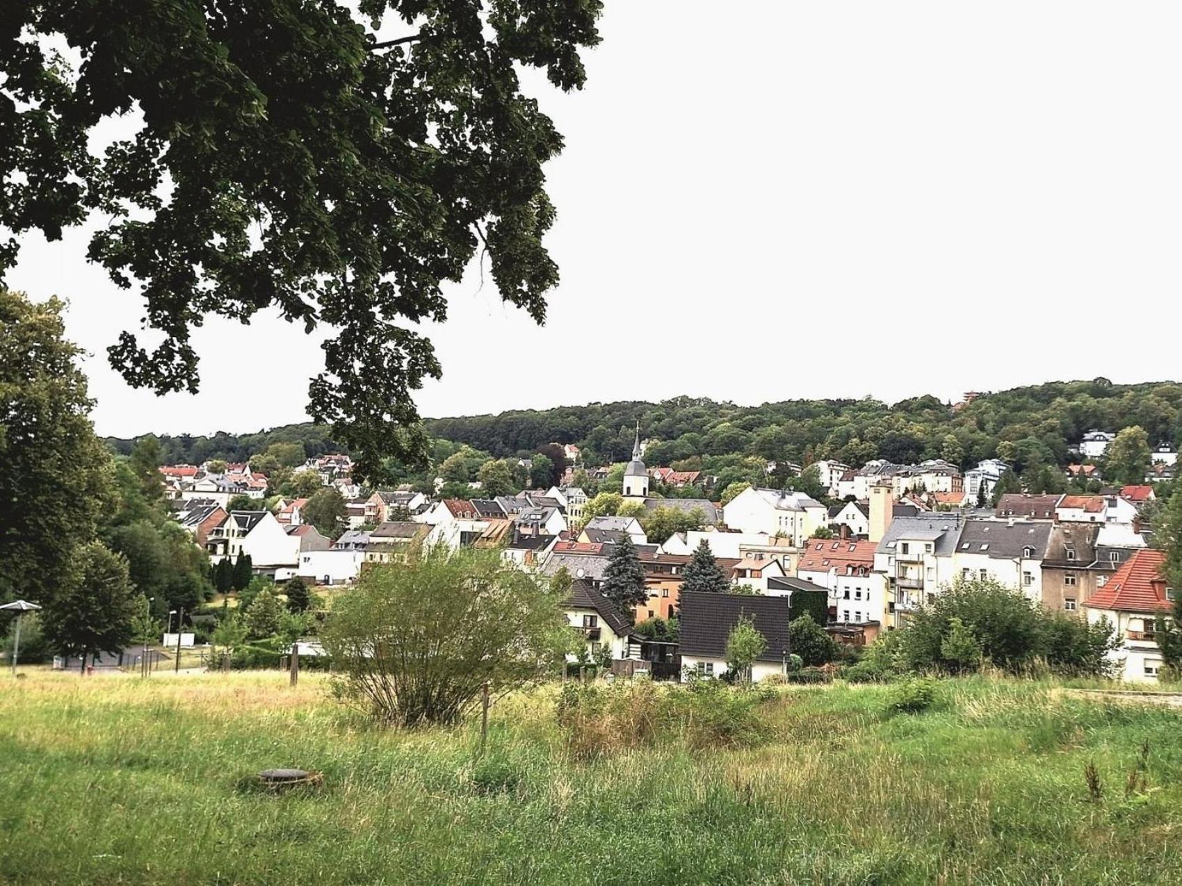 Bergblick-fewo * Hohenstein-Ernstthal